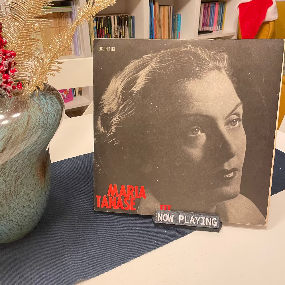 Suport vinil - Now Playing