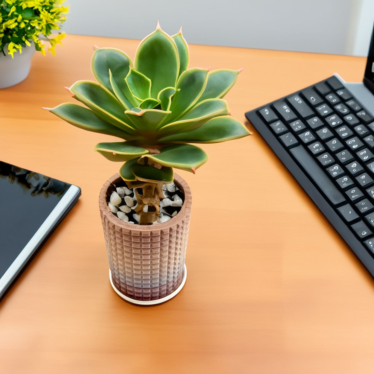 Cubino 3D Printed Succulent Desk Planter